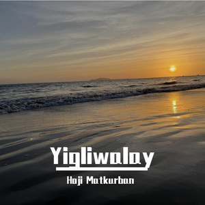 日日夜夜操视频
