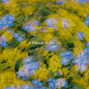 日日夜夜操视频
